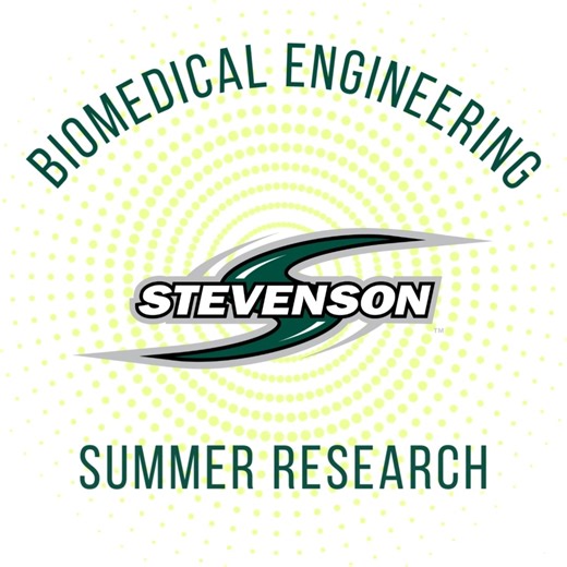 Stevenson University Biomedical Engineering students Andrew Davis ’25 and Alex Reimert ’26 are engaged in a summer-long research project to develop a model fall simulator. The goal of their project is to use the data from the model to help older adults prevent falls. This research is part of the Stevenson Summer Scholars Research Program (S3RP). Each summer, S3RP offers science, mathematics, and engineering students in Stevenson’s Beverly K. Fine School of the Sciences the opportunity to partici