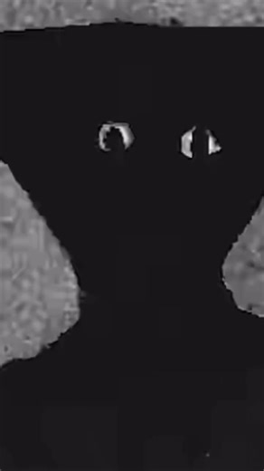 d0nt check the r00m mp.5