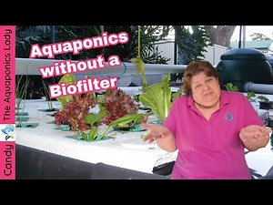 Aquaponics Unfiltered: Is a Biofilter Truly Necessary?