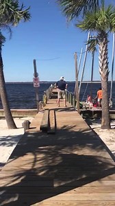 Paradise Update: We’re working hard to get our dock back in operation, as soon as possible. The weather is AMAZING Music with Mike Norris, 5-9pm today! Our Paradise Inn is open! Call 850.932.2319 for reservations and rates. | Paradise Bar and Grill