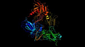 Fireworks in Space: NASA’s Twins Study Explores Gene Expression - NASA