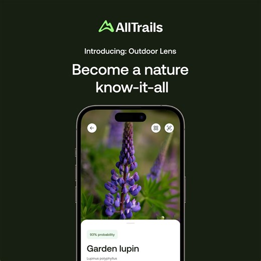 Learn about the natural world with the #1 outdoor app. Use your phone camera to identify plants, insects, and more wherever you go. | AllTrails