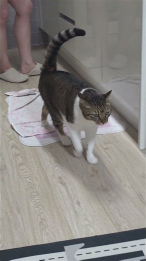 싸이렌을 울려라