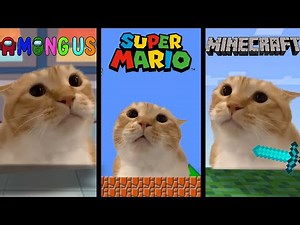 Cute Cat Meows but in Famous Places