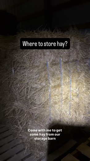 Hannah | Where do you store your hay? Do you have a separate storage barn and if so, do you feed directly from where you store it? Maybe I need... | Instagram