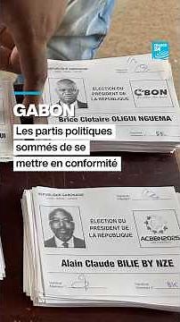 Au Gabon, les partis politiques sommés de se mettre en conformité • FRANCE 24