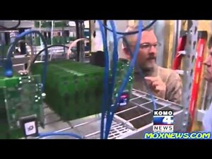 Bitcoin rig. The world's largest Bitcoin Mining Farm