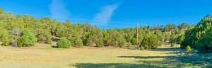 Land for Sale | Buy & Sell Rural Acreage | LANDIO