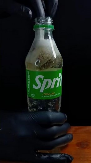 REFRESHING GILER! Sprite Lemon Tea