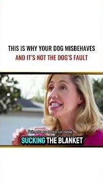 This Is Why Your Dog Misbehaves, And It’s Not the Dog’s Fault