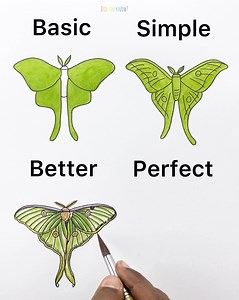 734K views · 2.1K reactions | Drawing a Butterfly- Basic vs Perfect | Did you know? | Facebook