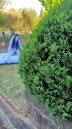 89K views · 786 reactions | Happy Halfway to Halloween! Here's some photos of my Corpse Bride costume from my photoshoot with @sweetsensationphotography #halfwaytohalloween #thecorpsebride #timburton | Casey Renee Cosplay | Facebook