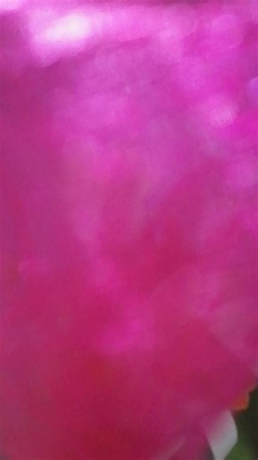 #farm #stage #project_masters