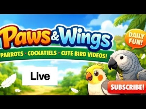 Can My Cockatoo REALLY Sing? Testing His Vocal Talents! 🎤🐦