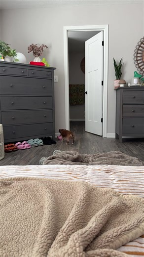 Ravelli (@rav_drift)’s videos with original sound - Ravelli