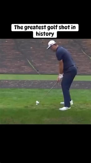 The greatest golf shot in history #Golf #golfing #golflife | The Sports Centre