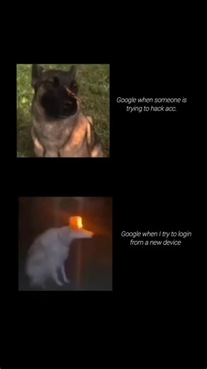 ViralCatch on Instagram: "Google is one of the most influential technology companies in the world, shaping how we search, learn, work, and connect online. Founded with the mission to organize the world’s information and make it universally accessible and useful, Google has grown far beyond a search engine. From Android and YouTube to Google Maps, Gmail, and powerful AI tools, its products impact billions of people every day. With a strong focus on innovation, speed, and user experience, Google c