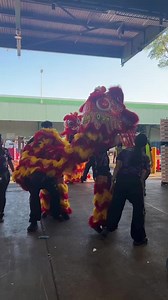 Sydney Markets on Reels