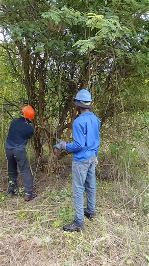 Russel Construction Pty Ltd, Electrical, Vegetation & Civil Engineering(Servitude Clearance & Maintenance) on Transmission Power Lines, Medium Voltage Power Lines , Low Voltage Power Lines. Substation Grass-cutting, Pest Control Operators meticulous weeding & Targeted Herbicide Application, Fire Guards Establishment, Innovative drainage systems. Operating across Picturesque Landscapes of South Africa(Kwazulu-Natal, Eastern Cape, Northern Cape, Western Cape, Gauteng, Mpumalanga, Free State, Limpo