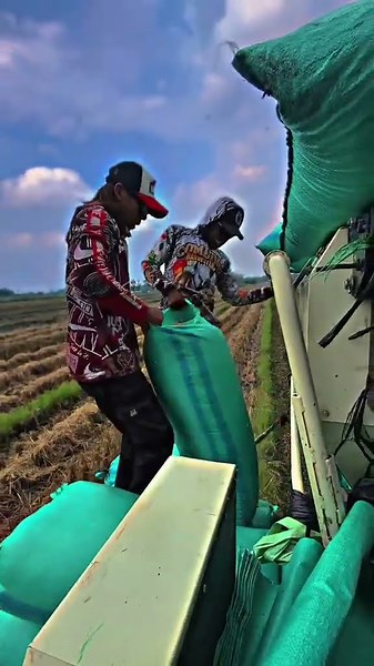 MAXXI || #combineharvester #maxxibimoterbaru #maxxibimo102standar #farming #combinepadi #automobile