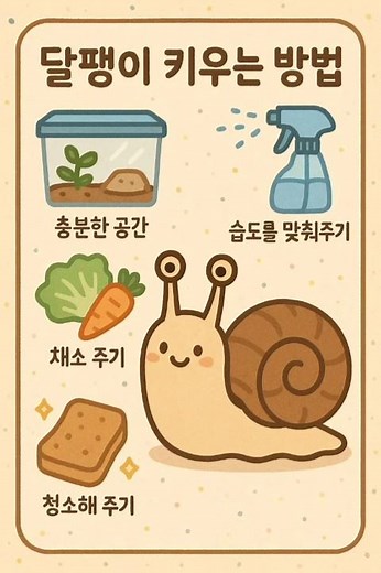 달팽이 키우는방법