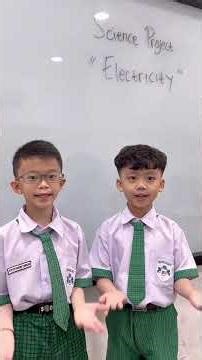 P1 A - Science Project - Electricity - 26th February 2026 - (2)