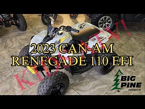 Perfect ATV for the kids! Can-Am Renegade 110 EFI - Walk-around!