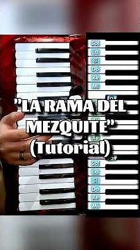 “La Rama de Mezquite” TUTORIAL en Acordeón de Teclas #ramonayala #laramademezquite #mikeacordeon