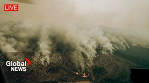 Canada wildfires: Forecast as smoke from fires in Ontario, Quebec clouds major US cities | LIVE - The Global Herald