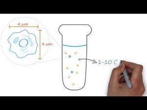 AbLearning™ - Episode 1: Circulating Tumor Cells