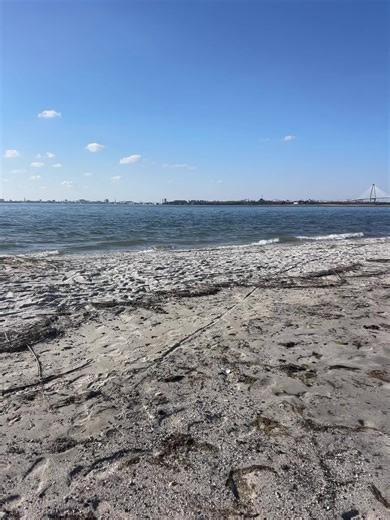 #TikTokCreatorSearchInsightsIncentive #fyp #ocean #sc #healingjourney