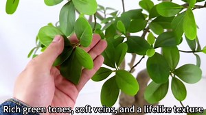 AfanD 10FT Artificial Mangrove Tree – Highly Realistic Faux Indoor Tree, Large Decorative Fake Plant for Living Room, Office, Hotel, Commercial Interior Decor