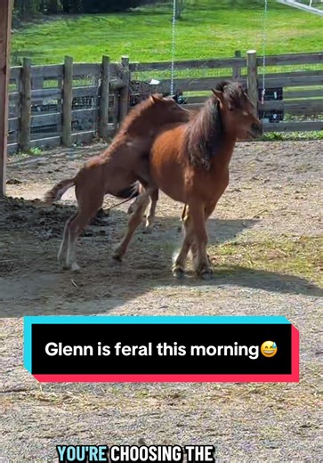Glenn's Feral Adventure with Katie Van Slyke