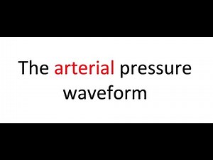 The arterial pressure waveform