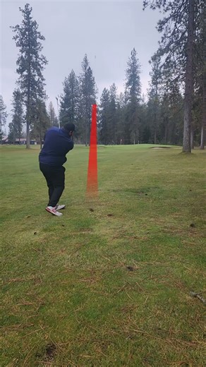100 yard aproach shot #golf #golfgame #motivation #fyp #fypシ