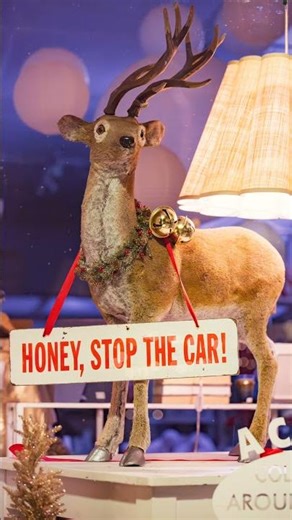 the moment vs. the photos photography | shop | window display | boutique | store