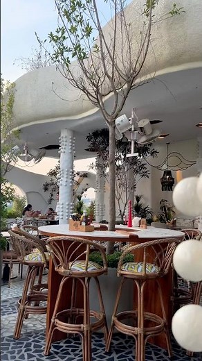 Best Rooftop Cafe in Dwarka | The Big Tree Cafe Dwarka | #shorts
