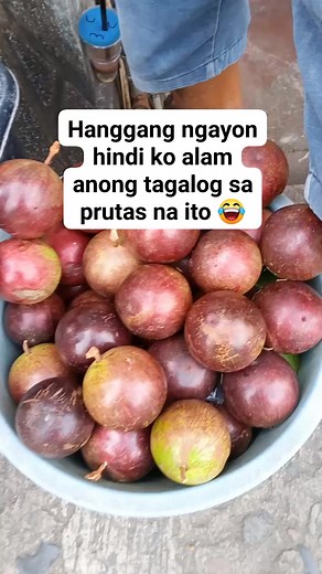 827K views · 6.2K reactions | Paborito ko ito napakatamis lalo hinog na. #fbreels #viralreels #highlights #madamgala #gregoryandroschilscott #bluelinksocialpro | MadamGala | Facebook