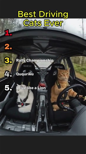 Best Driving Cats Ever on the Planet 🐈 #shorts