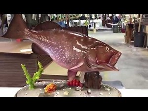 Red Grouper Custom Fishmount - Gray Taxidermy Fishmounts
