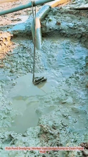 Fish Pond Dredging | Worker Uses Sludge Pump to Clean Pond Mud 🌾