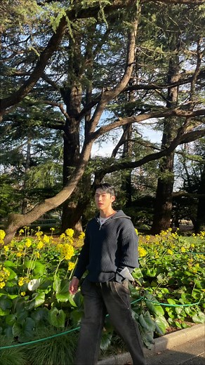 Exploring Japan: A Korean Model's Travel Adventure