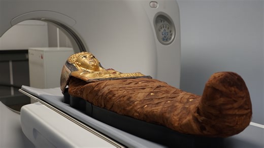 3D scans show inside 3,000-year-old Egyptian 'locked mummy' coffin