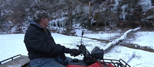 'I believe in guardian angels': Tree felled by ice storm misses Boone County man by inches