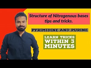 Structure of Nitrogenous Bases trick- Pyrimidine and Purine