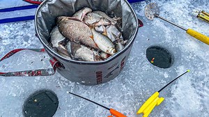 Float fishing Winter | Холлі