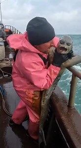 843K views · 6.8K reactions | Is this even REAL?!  #viral #fyp...