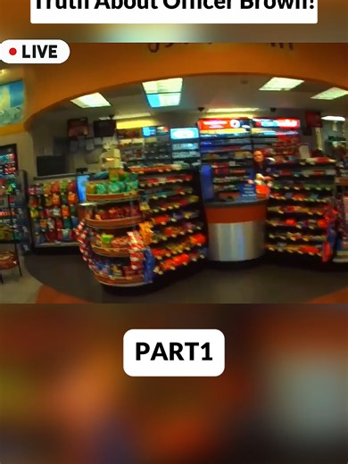 Part 1 #audit #police #cops #fyp