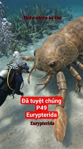 P49 Eurypterida is extinct. #animals #movies #viral #football #music