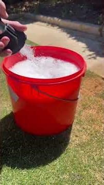 Testing for Armyworm in your lawn